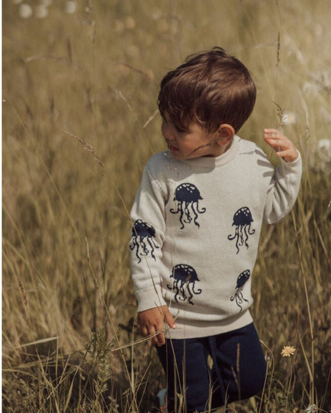 Pull Jellyfish pour garçon