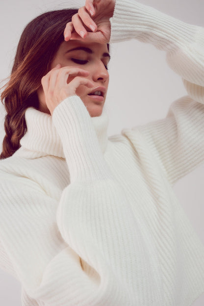Puff Sleeve Turtleneck Sweater